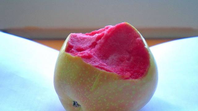 Ovakve jabuke još niste jeli - ružičaste su kada ih zagrizete