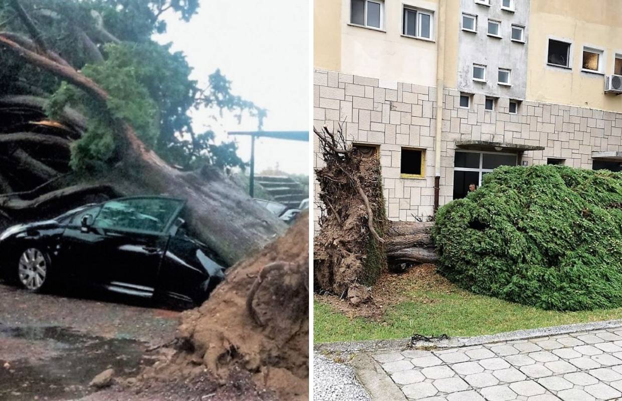 Nevrijeme je protutnjalo jugom zemlje, čupalo stabla u Opuzenu