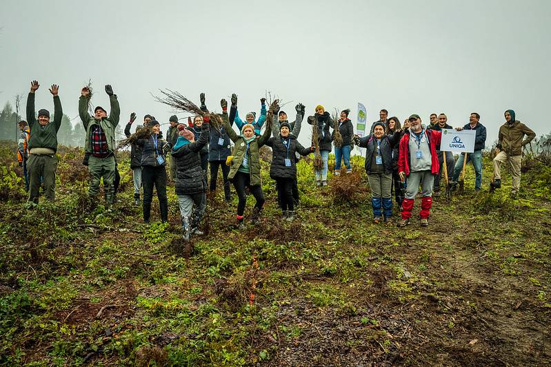 U godinu dana projekta Co2mpensating by planting posađeno preko 75,000 sadnica