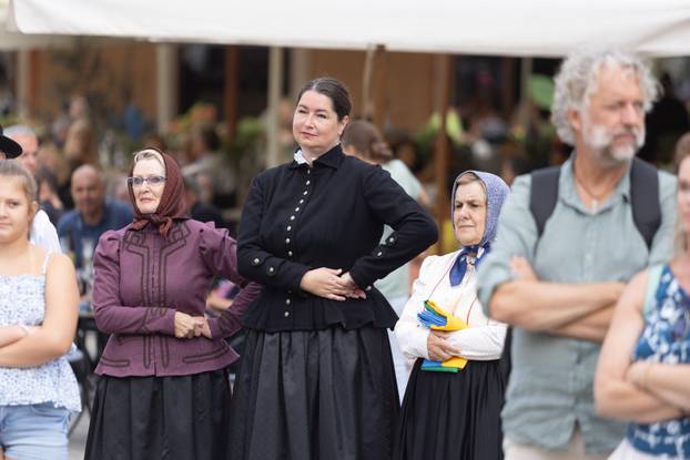Više od 400 izvođača iz Slovenije nastupat će na Festivalu Slovenija u Puli