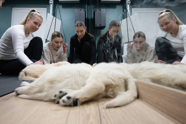 24SATA Paw Yoga, inovativni koncept joge koji je stigao u Hrvatsku