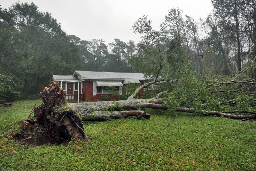A tree uprooted by Hurricane Florence lies in front of a home in Wilmington, North Carolina