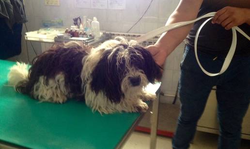 Ta&scaron;a je bila zapu&scaron;tena i puna rana. Danas je prava planinarka