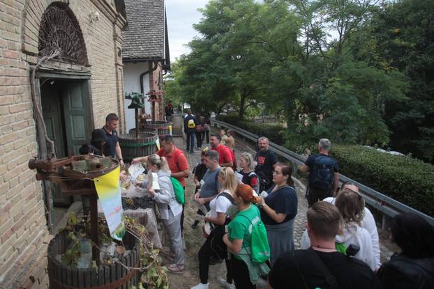 Zmajevac:  Vinski Bor maraton