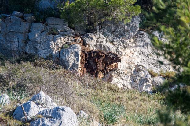 Stijena se odlomila i pala na kombi na magistrali kod Dubrovnika