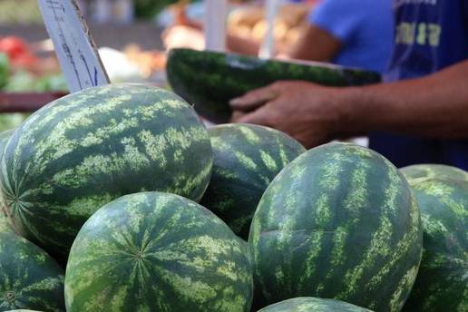 Neretvanske lubenice se zelene na poljima, provjerite odakle su ove koje trenutno kupujemo