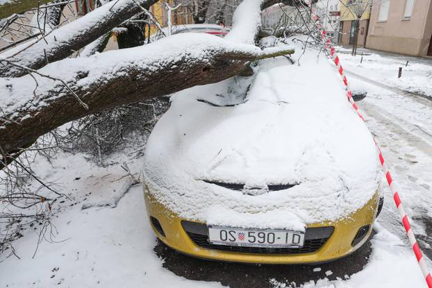 Na parkirani automobil u Osijeku palo stablo