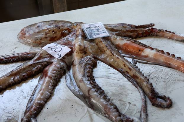 Šibenik: Ponuda ribe i ostalih morskih delicija