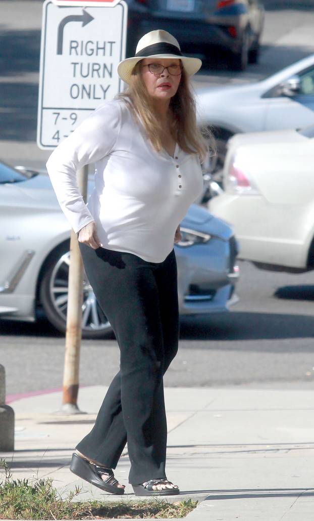 Sixties superstar Raquel Welch, 81, is seen out in public for the first time in over two years as she stops by an auction house in Beverly Hills.