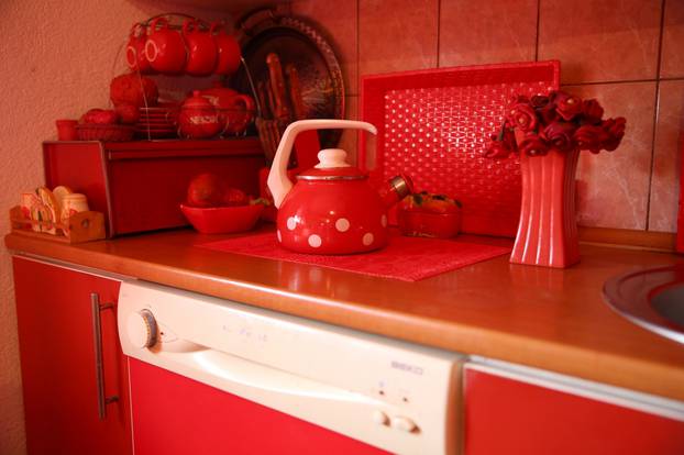 Kitchen is seen in Zorica Rebrenik