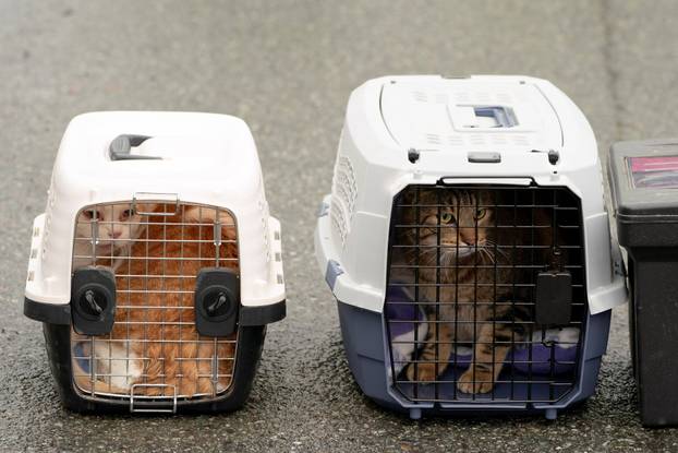 Atmospheric river brings rain and flooding to the Pacific Northwest