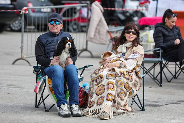 Zaprešić: Ispred Wesgatea održana međunarodna izložba pasa