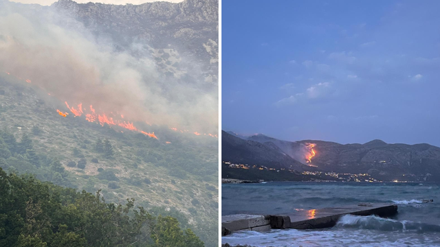 FOTO Vatrogasci se borili cijelu noć s požarom kod Dubrovnika: 'Još uvijek nije lokaliziran'