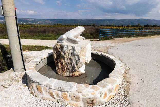 U Zmijavcima otkriven spomenik žabi