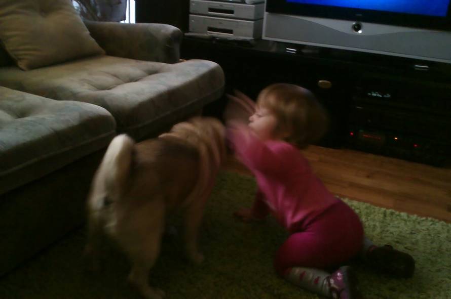 24ljubimci/Fotografije čitatelja