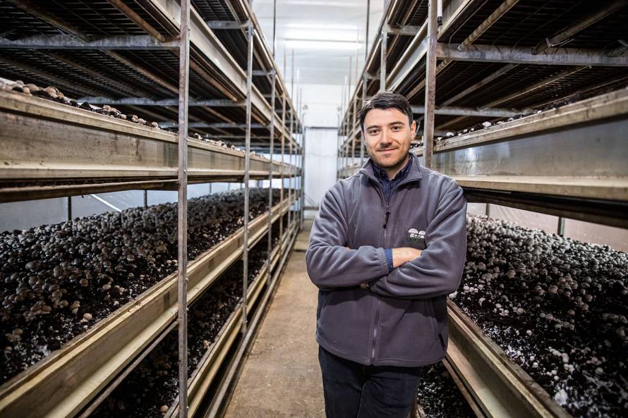 Izgradio je dva plastenika, a danas proizvodi 35 tona gljiva