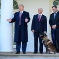 Trump odlikovao Conana, psa kojeg je ozlijedio Al-Baghdadi