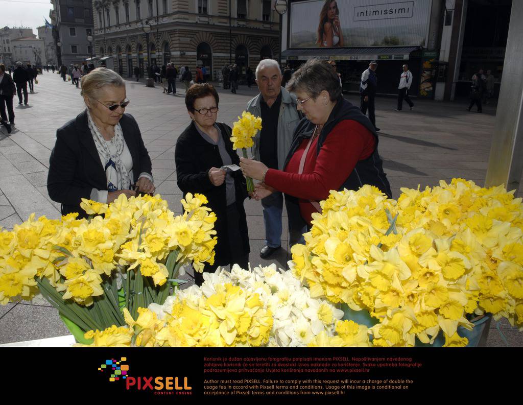 Pixsell