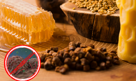 Kako med može poboljšati imunitet kod djece