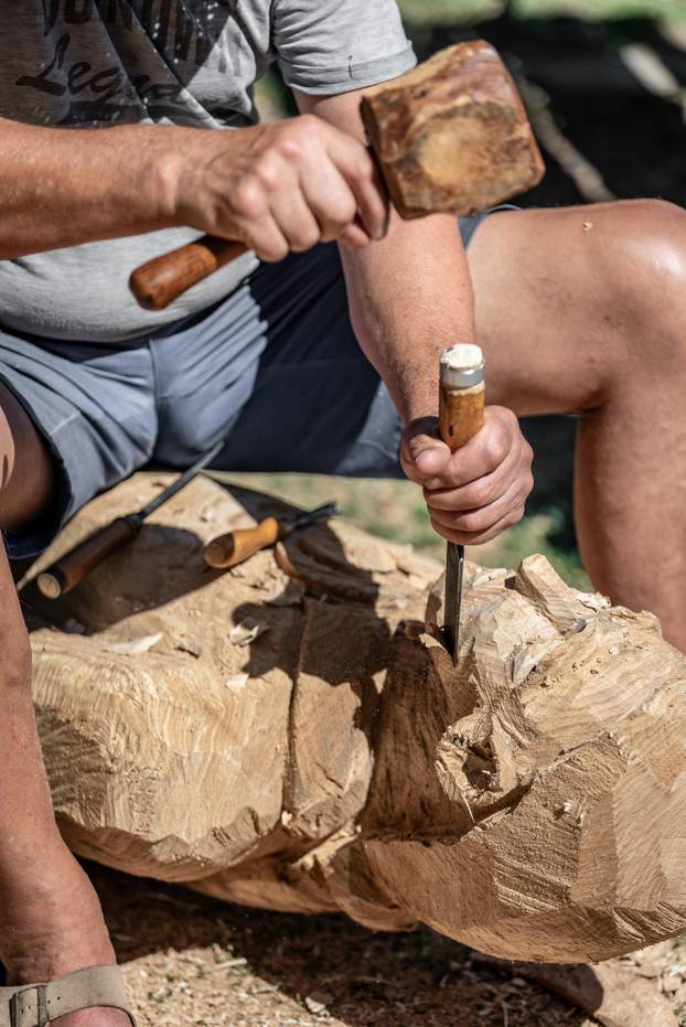 Osijek: 51 Kolonija kipara naive Ernestinovo stvaraju kiparska djela od trupca starog slavonskog hrasta