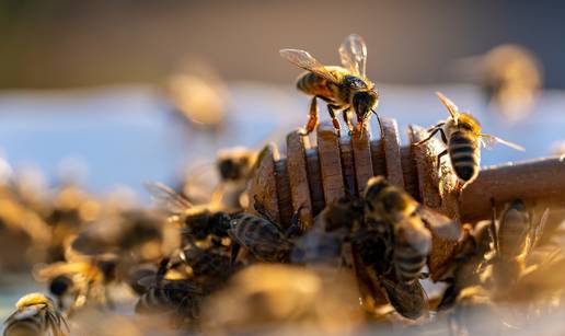 Za mir u ko&scaron;nici &ndash; ApiFumi dimni &scaron;tapi&cacute;i!