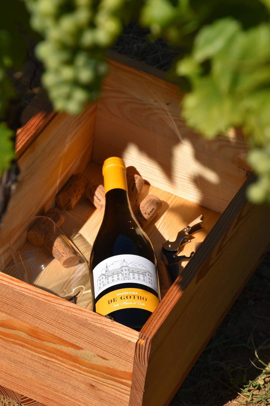 Graševina de Gotho 2020. – Puni sjaj kutjevačkog vinogorja