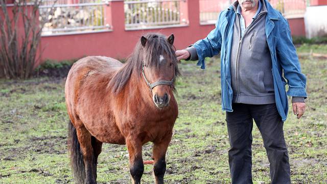 Smoki traži dom: Josip (62) za ponija se više ne može brinuti