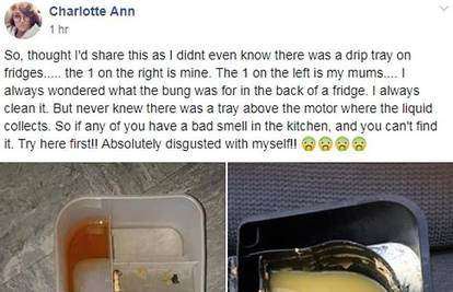 Otkrila je posudu za kondenzat u hladnjaku i ostala šokirana