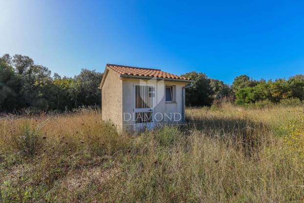 FOTO Pogledajte ovu kućicu u Rovinju za 250.000 €! Ima 15 kvadrata, kažu da je blizu mora