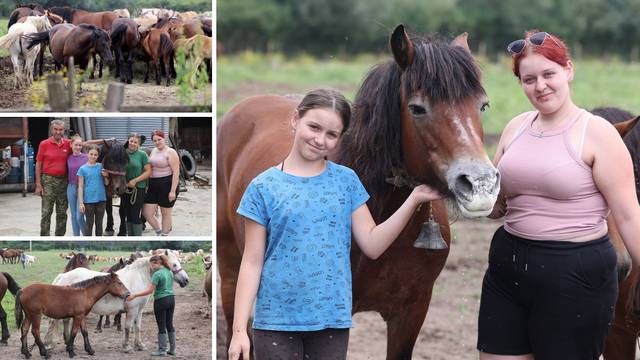 Heroina iz Odranskog polja: Kobila Mirga iz poplave spasila 100 konja, a to joj nije prvi put