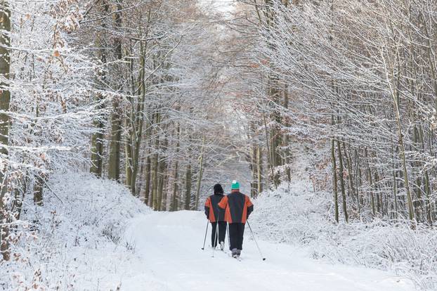 Winter in Saxony