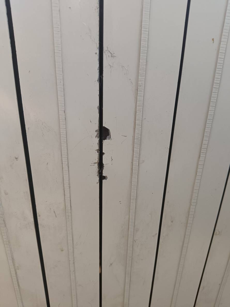 Vatrogasci  u akciji! U neobičnoj intervenciji spasili maci šapice iz radijatora: 'Hitno su došli'