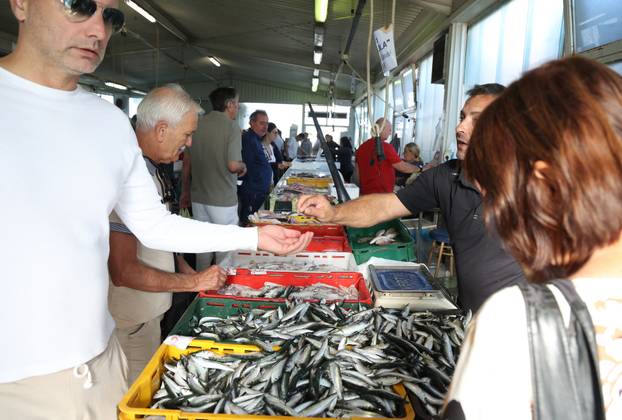 Šibenik: Ponuda ribe na ribarnici