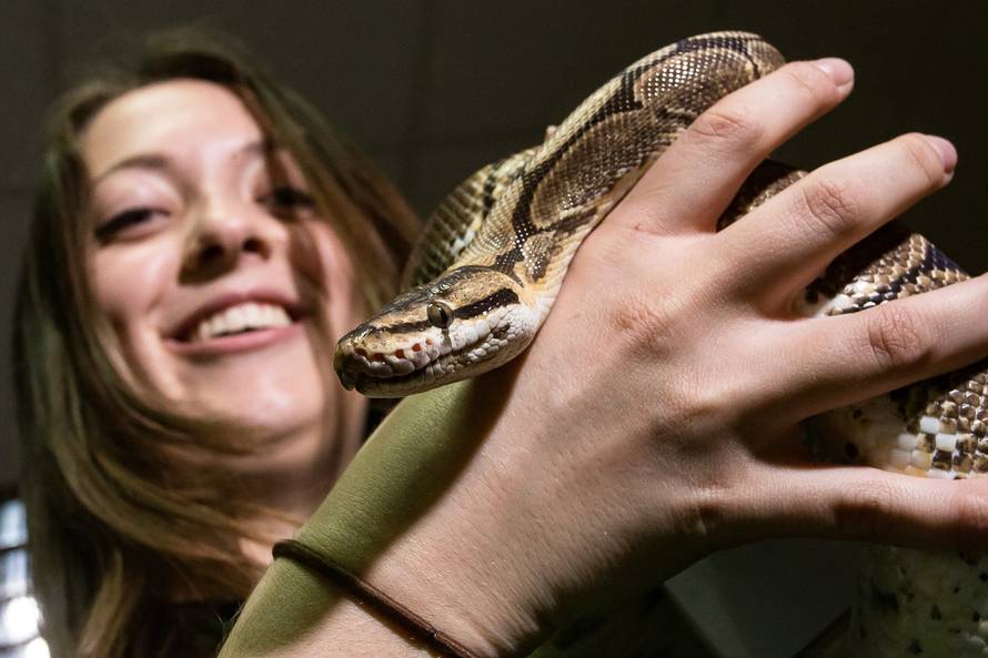 E za ovo je potrebna hrabrost: Studentice se igrale sa zmijom