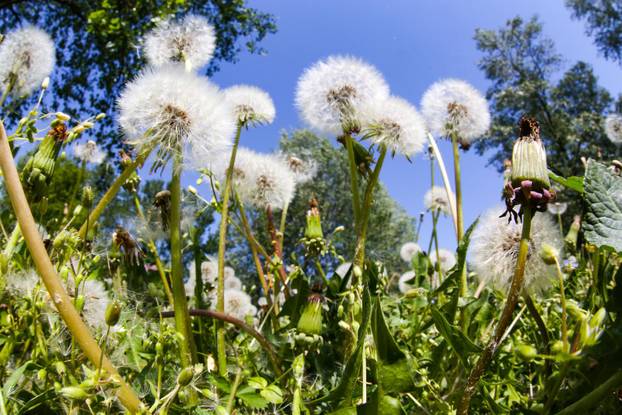Na današnji dan obilježava se Dan planeta Zemlje