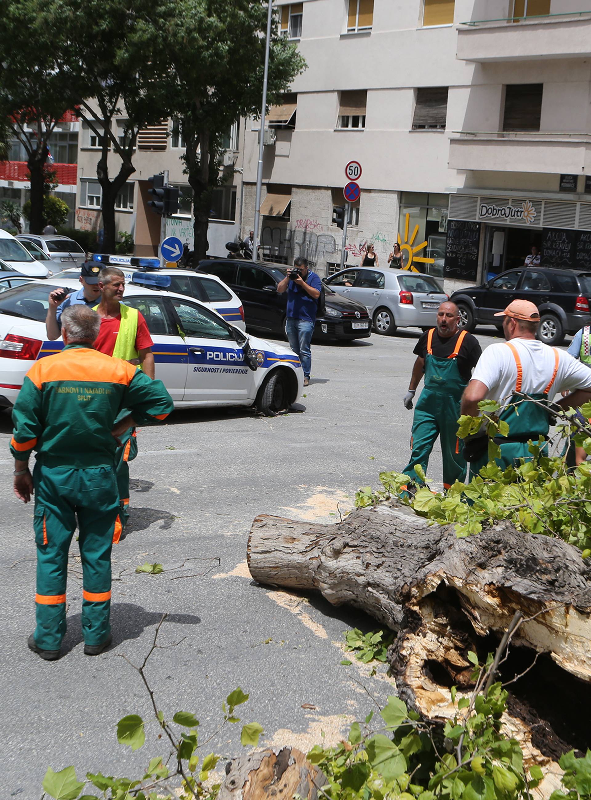 stablo na policijskom vozlu