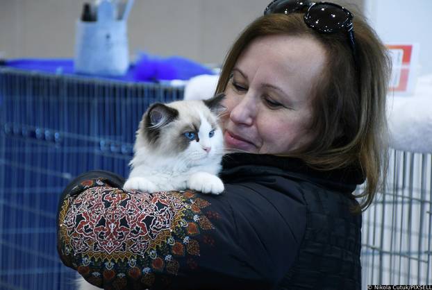 Otvorena revijalna izložba mačaka u Sisku 