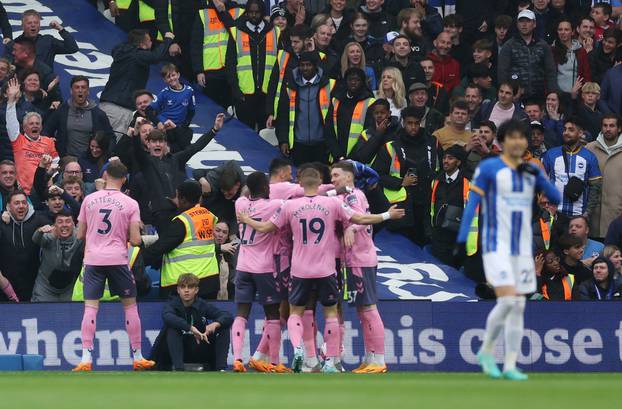 Premier League - Brighton & Hove Albion v Everton