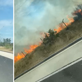 VIDEO Sletio s ceste u maslinik kod Nadina. Auto se zapalio: 'Izgorjelo je pola maslinika...'