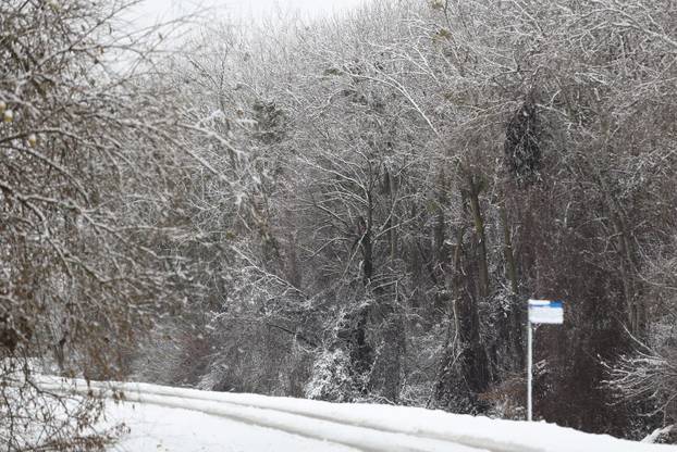 Snježni pokrivač je zabijelio je Osijek