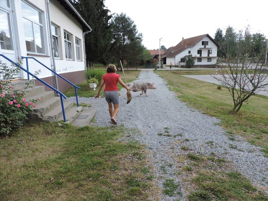 Mihael Hnatyšyn/24sata