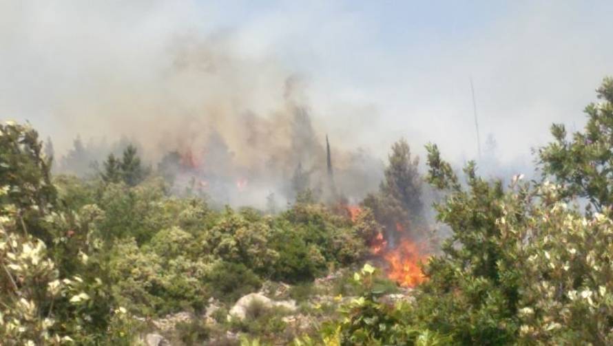 Požar potpomognut olujnim vjetrom gutao sve pred sobom