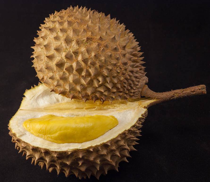Azijsko voće durian