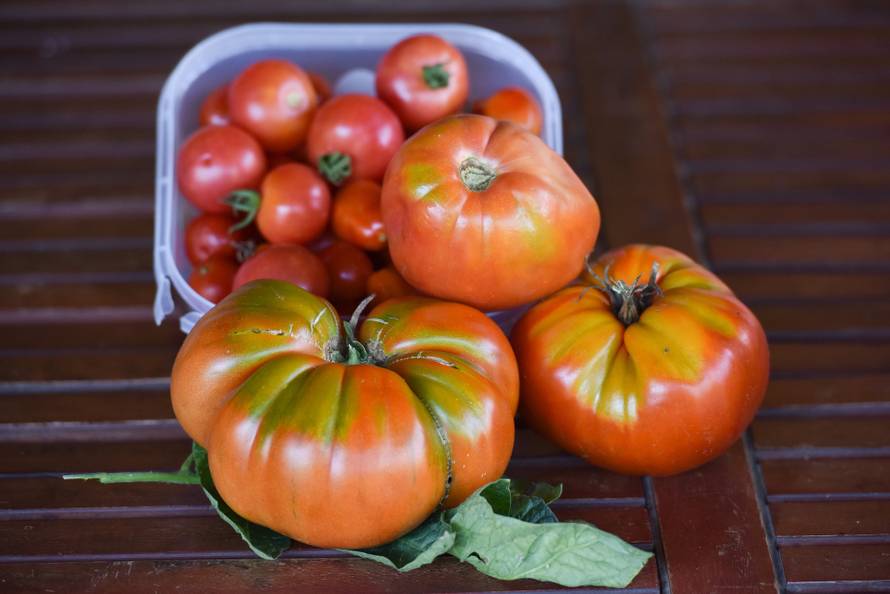 Otkrili zašto rajčice iz dućana nikad nemaju okus kao 'prave'