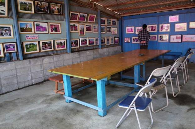 FOTO Pogledajte tu divotu: Farmer zasadio tisuće cvjetova za svoju slijepu suprugu