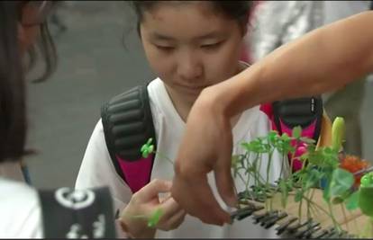 Kinezi pokrenuli nov bizaran trend: Stavljaju bilje na kosu