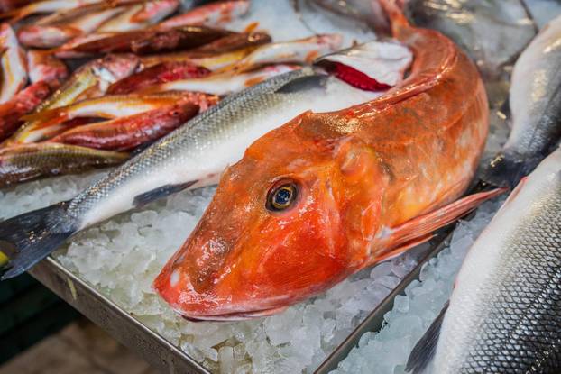 Split: Bogata ponuda ribe petkom u splitskoj ribarnici