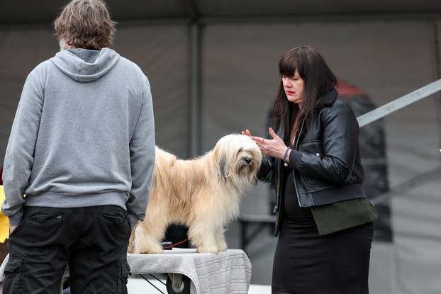 Izložba pasa svih pasmina ispred shopping centra Westgate City u Zaprešiću
