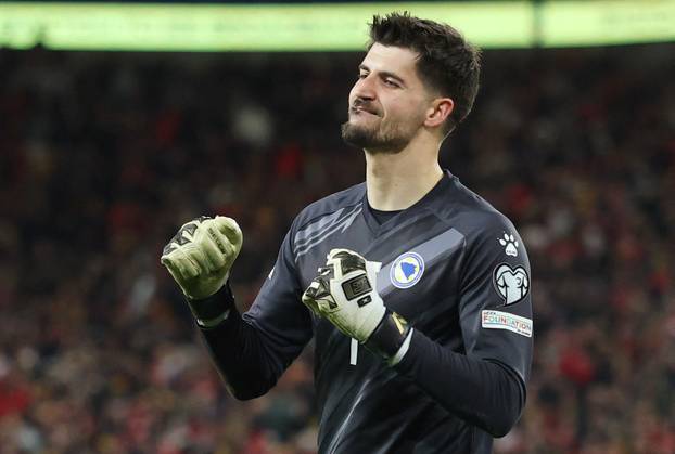 FIFA World Cup - UEFA Qualifiers - Semi Final - Wales v Bosnia and Herzegovina