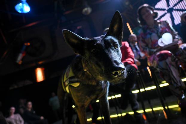 Zagreb: Svečana dodjela nagrade Ponos Hrvatske